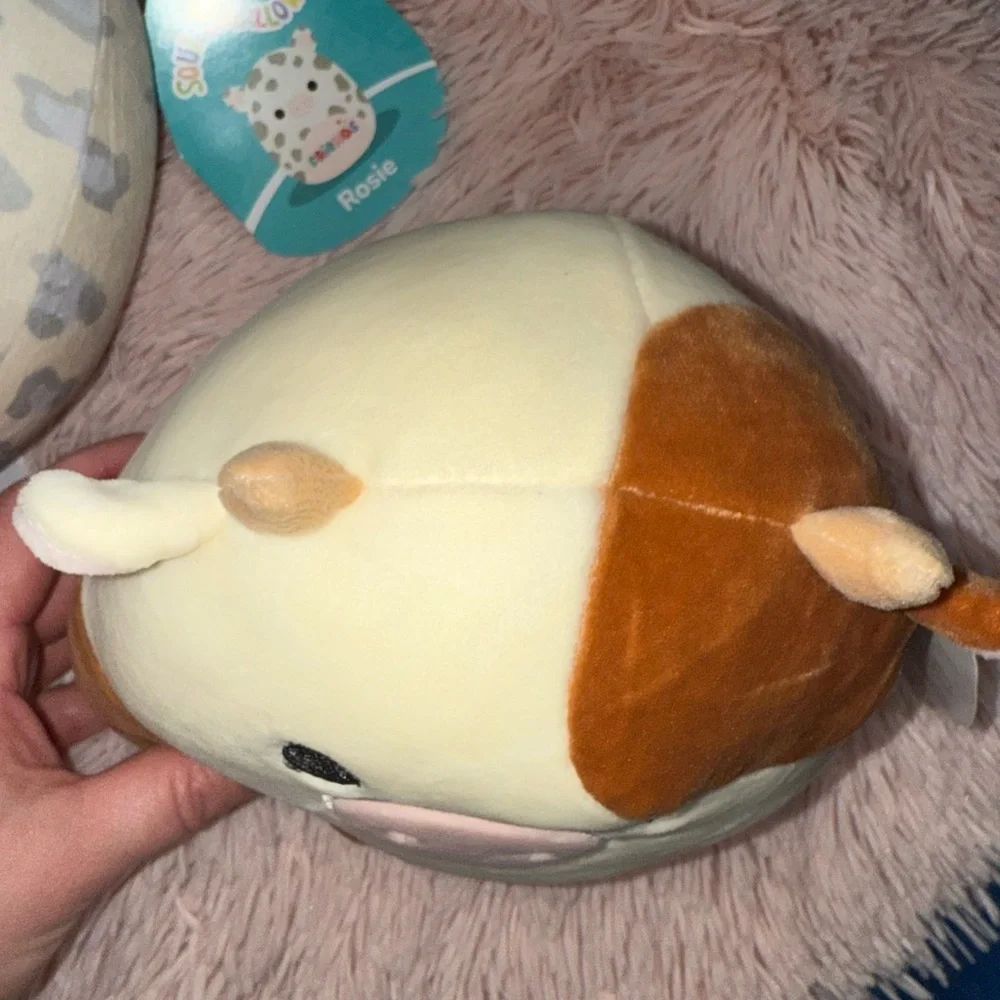 Squishmallow Friends Forever Rosie and Ronnie